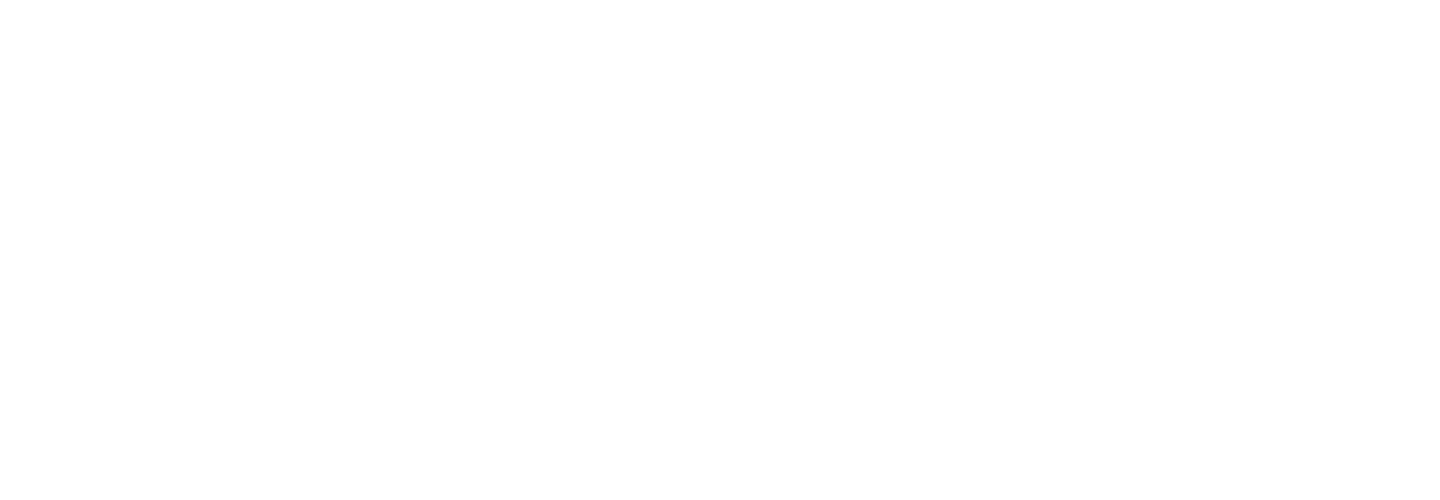 logo weiß